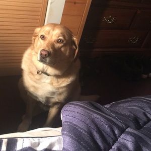 Meet your Posher, John